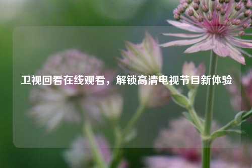 卫视回看在线观看，解锁高清电视节目新体验
