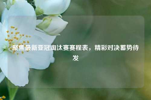 聚焦最新亚冠淘汰赛赛程表，精彩对决蓄势待发