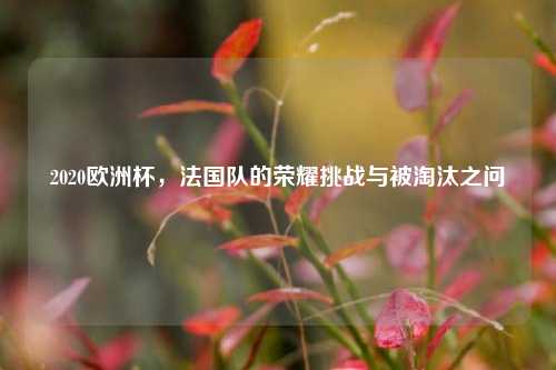 2020欧洲杯，法国队的荣耀挑战与被淘汰之问