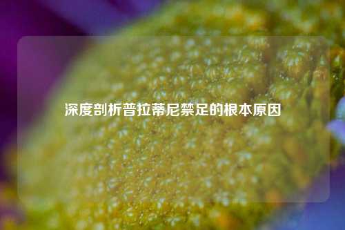 深度剖析普拉蒂尼禁足的根本原因