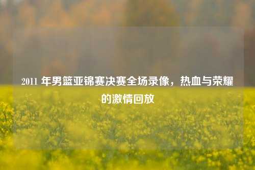 2011 年男篮亚锦赛决赛全场录像，热血与荣耀的     回放