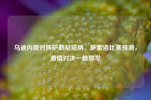 乌迪内斯对阵萨勒尼塔纳、萨索洛比赛预测，     对决一触即发