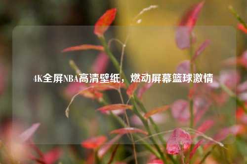 4K全屏NBA高清壁纸，燃动屏幕篮球     