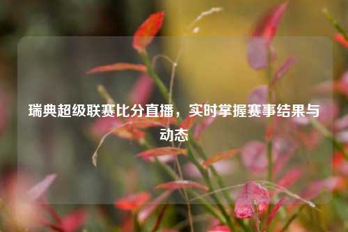 瑞典超级联赛比分直播，实时掌握赛事结果与动态