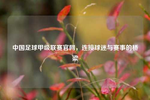 中国足球甲级联赛官网，连接球迷与赛事的桥梁