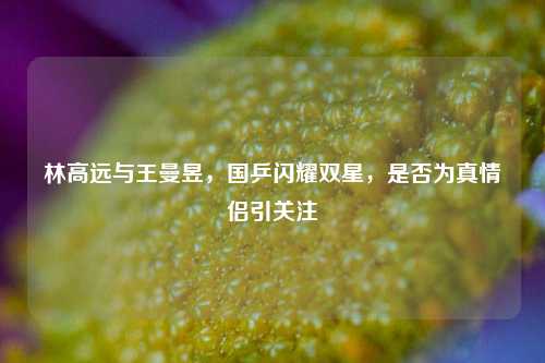 林高远与王曼昱，国乒闪耀双星，是否为真情侣引关注