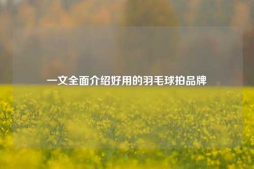 一文全面介绍好用的羽毛球拍品牌