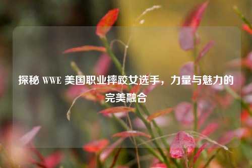 探秘 WWE 美国职业摔跤女选手，力量与魅力的完美融合