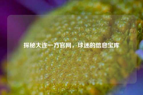 探秘大连一方官网，球迷的信息宝库