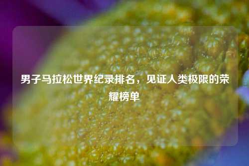 男子马拉松世界纪录排名，见证人类极限的荣耀榜单