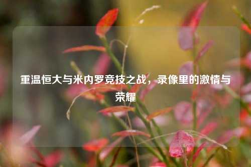 重温恒大与米内罗竞技之战，录像里的激情与荣耀