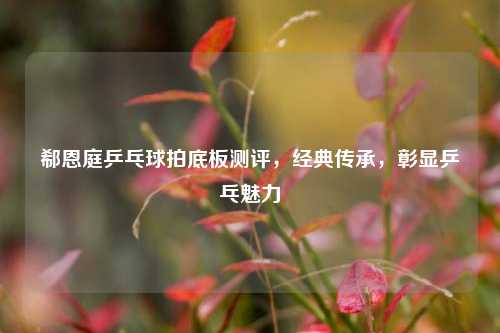 郗恩庭乒乓球拍底板测评，经典传承，彰显乒乓魅力