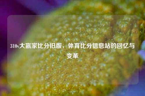 310v大赢家比分旧版，体育比分信息站的回忆与变革