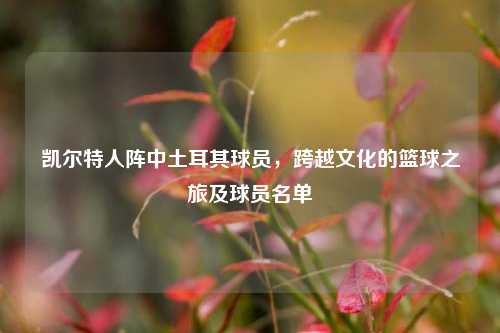 凯尔特人阵中土耳其球员，跨越文化的篮球之旅及球员名单