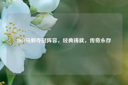 2014马刺夺冠阵容，经典铸就，传奇永存