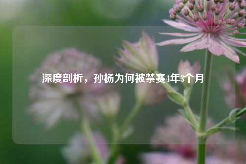 深度剖析，孙杨为何被禁赛4年3个月