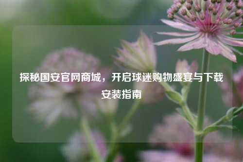 探秘国安官网商城，开启球迷购物盛宴与下载安装指南