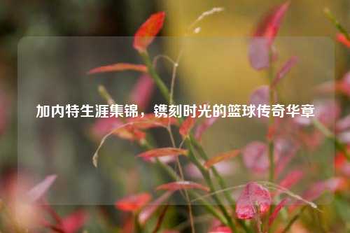 加内特生涯集锦，镌刻时光的篮球传奇华章